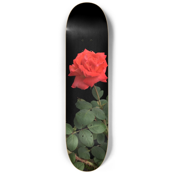 Rose Skateboard